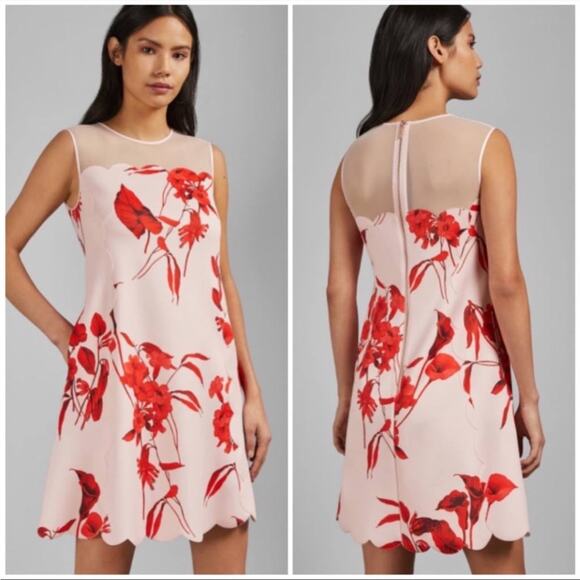 Ted Baker Jaazmin Fantasia Women's‎ Floral Scallop Dress Size 5 / 12 US - Picture 1 of 5